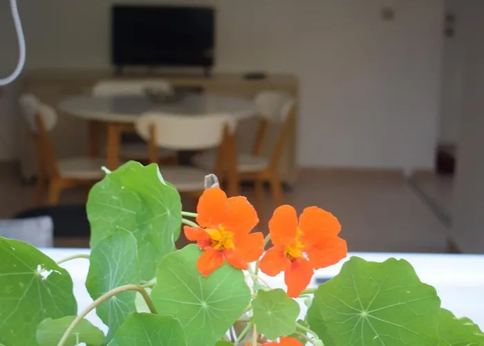 Blugreen Stegna And 아크앤젤로스