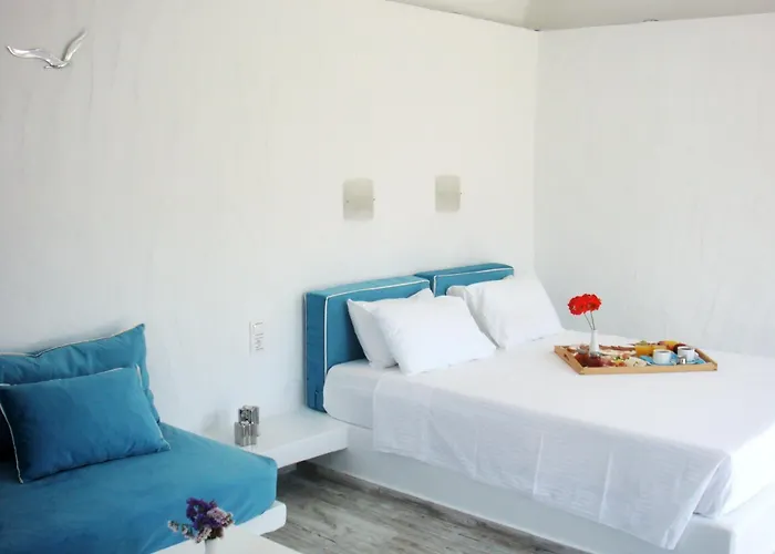 Blugreen Stegna And 아크앤젤로스