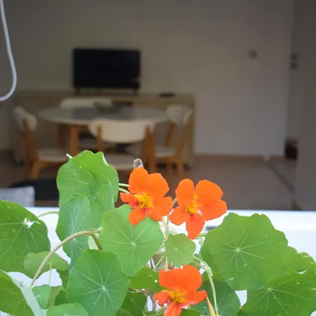 Blugreen Stegna And Archangelos (Rhodes)