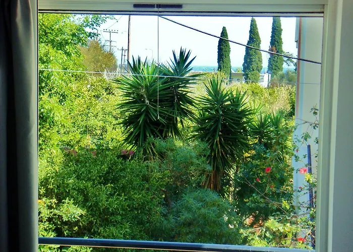 Blugreen Stegna And *