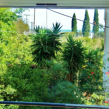 Blugreen Stegna And *