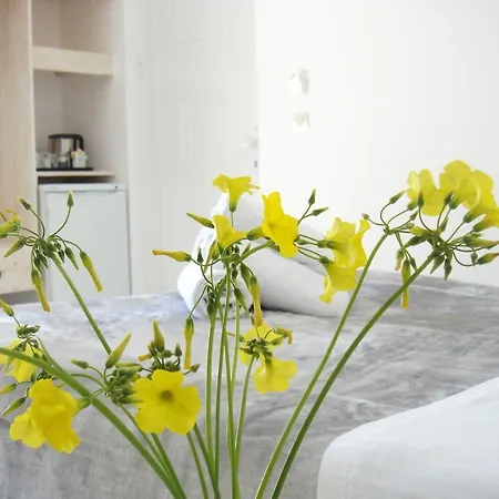 Blugreen Stegna And Apartment *