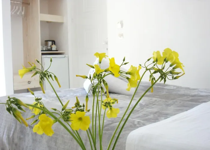 Blugreen Stegna And Apartment *